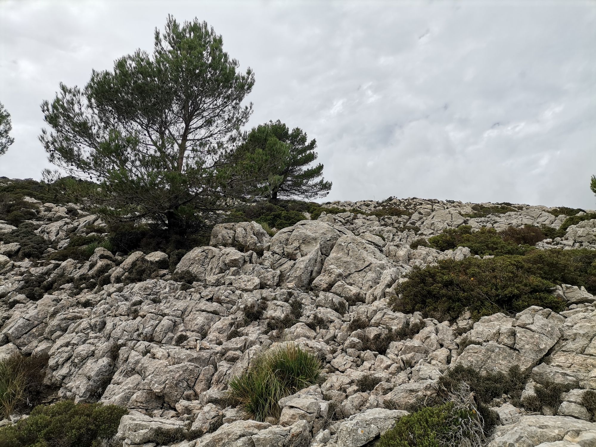Und noch ein Wander weg