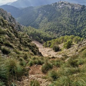 Steiler Abstieg vom Puig Tomir