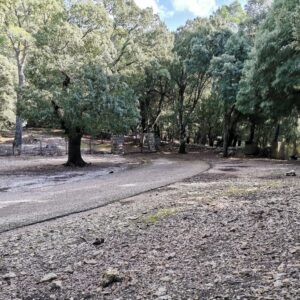 Wieder unten an der Straße vom Puig Tomir