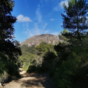 Auf dem GR 221 in der Tramuntana Blick auf Puig Tomir