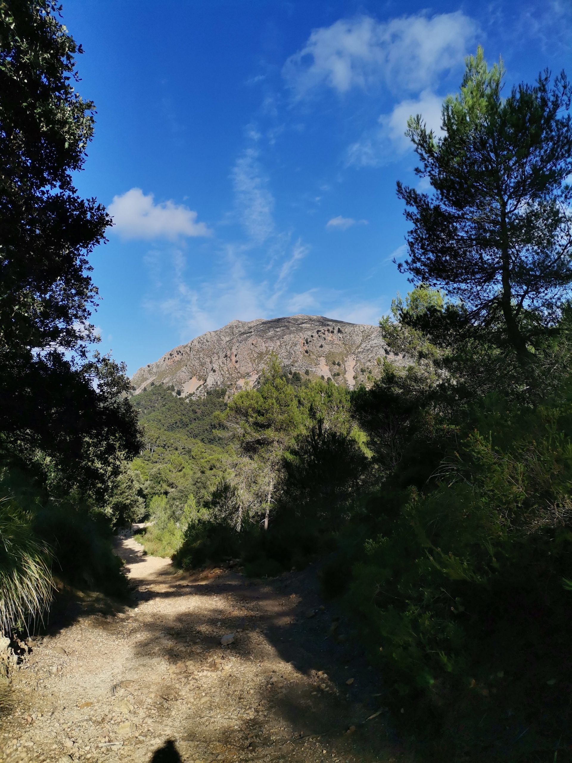 Auf dem GR 221 in der Tramuntana Blick auf Puig Tomir