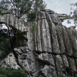 Vom Regenwasser „zerschnittene“ Kalksteine Karst