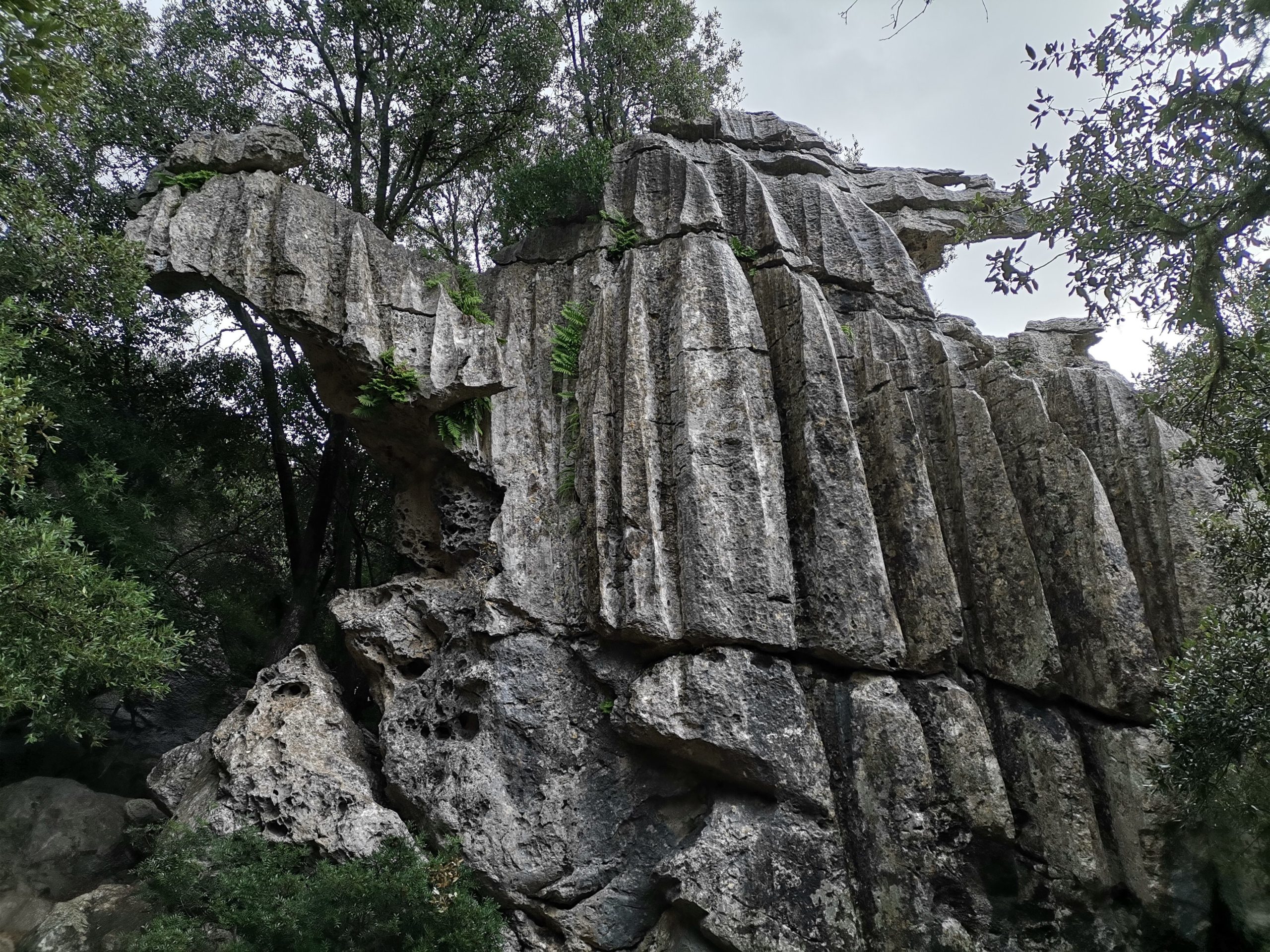 Vom Regenwasser „zerschnittene“ Kalksteine Karst