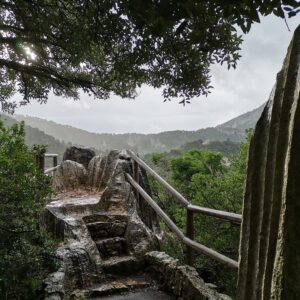 Ausblickspunkt im Kalkstein Karst