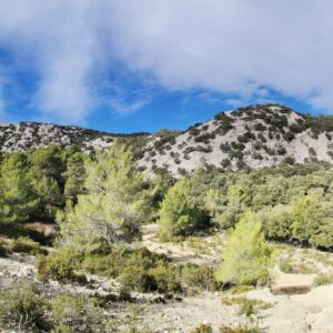 Blick auf die Felsen & doch noch einmal Sonne