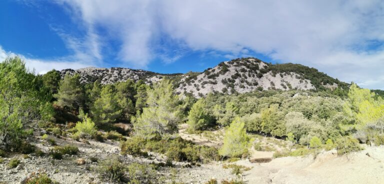 2022 11 Mallorca Wanderung vom Kloster Lluc über Puig de Massanella & Puig de sa Mola & retour