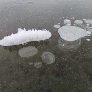 Eisblumen Müggelsee
