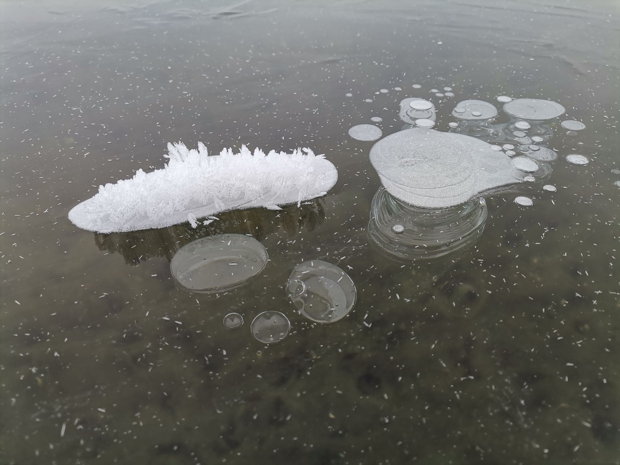 Eisblumen Müggelsee