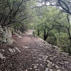 Auf dem Weg GR 222 nach Caimari