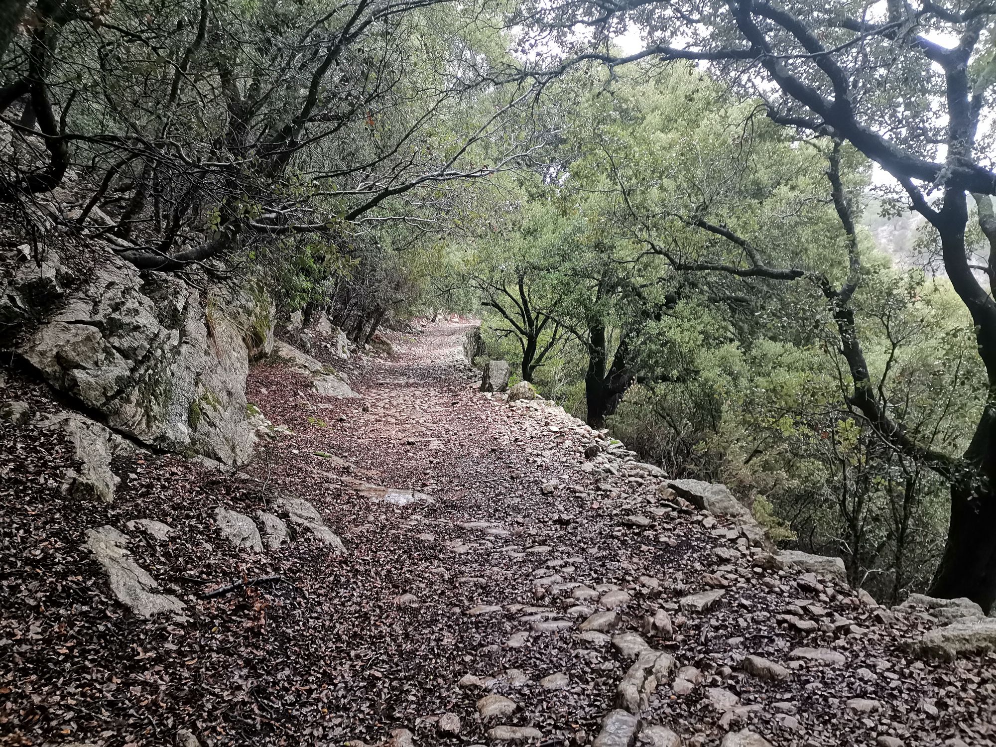 Auf dem Weg GR 222 nach Caimari