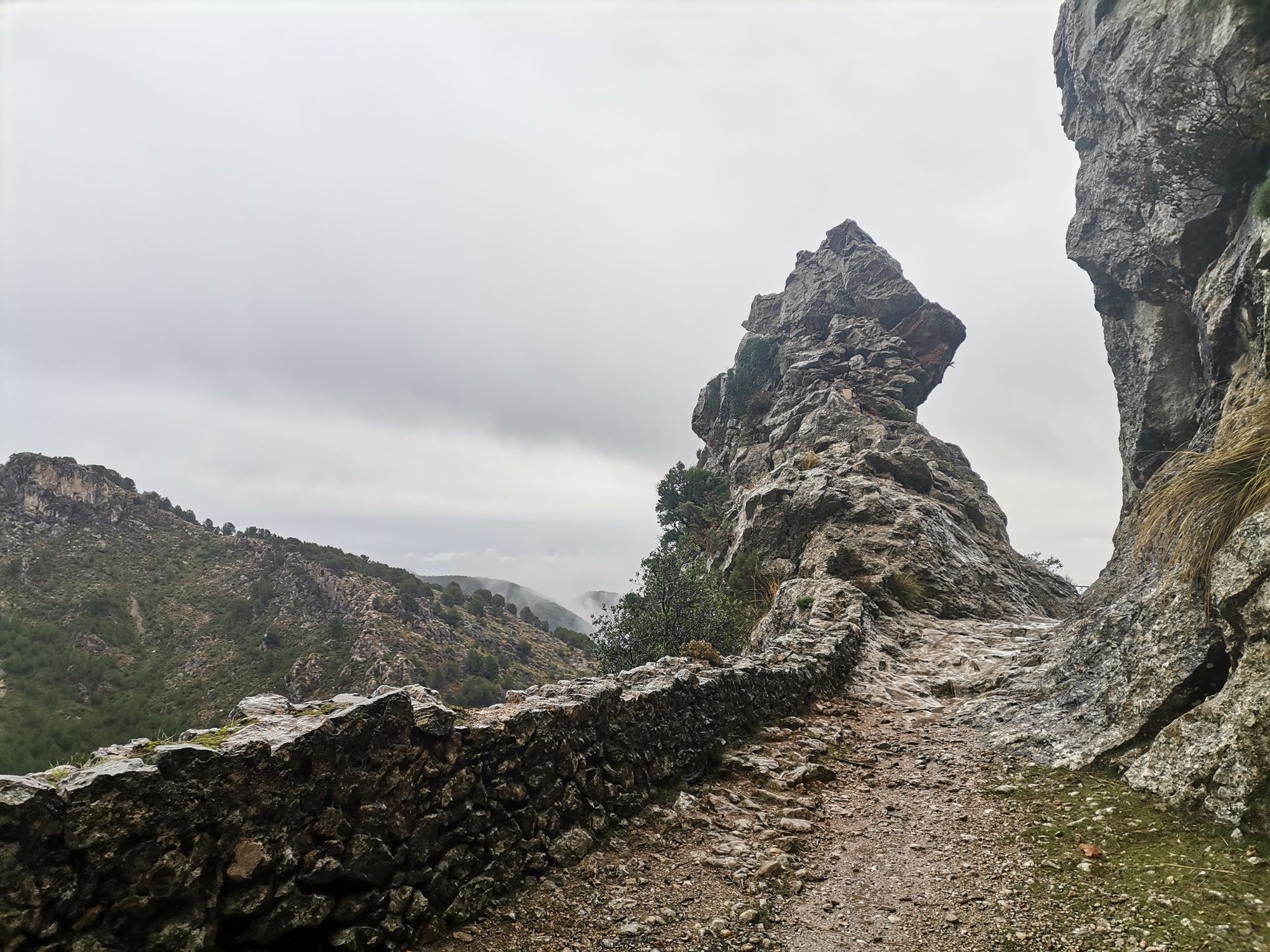 2022 11 Mallorca GR222 Koster Lluc Coll de Sa Battalla Caimari