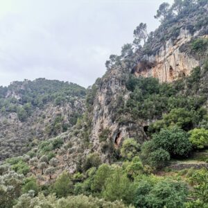 Auf dem Wanderweg GR 222 nach Caimari Olivenhaine