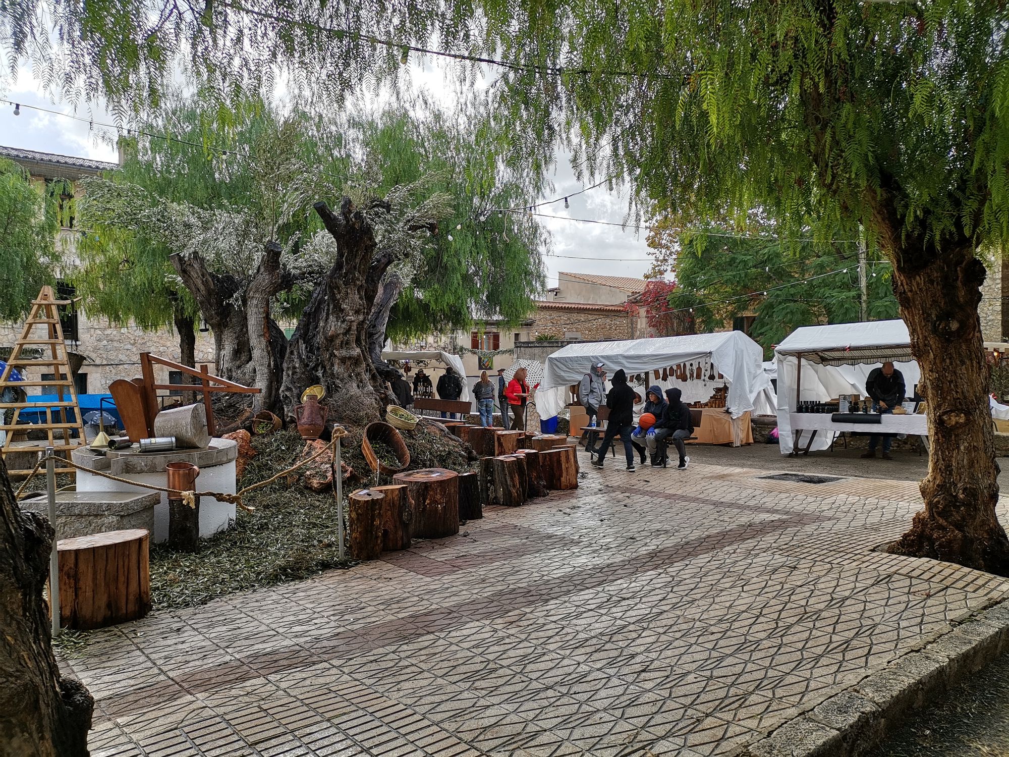 Oliven Herbstmarkt in Caimari