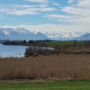 Panorama Riegsee Alpen
