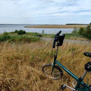 Das Faltrad war dabei am Cottbuser Ostsee