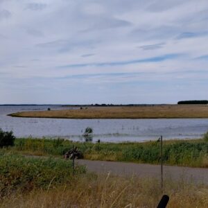 Überklick kahl am Cottbuser Ostsee