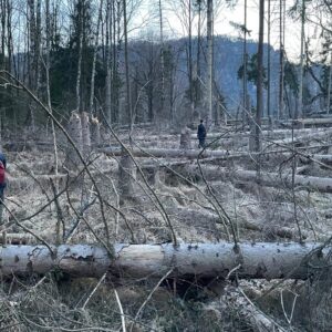 Anmarsch Hindernislauf :-)