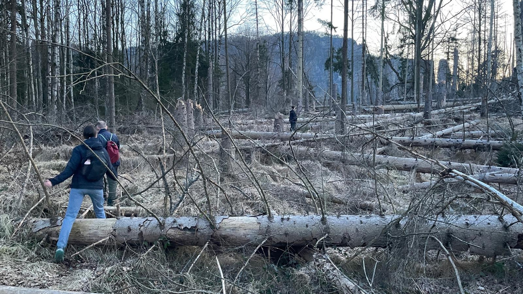 Anmarsch Hindernislauf :-)