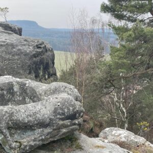 Kaiserkrone Löwe im Felsen?