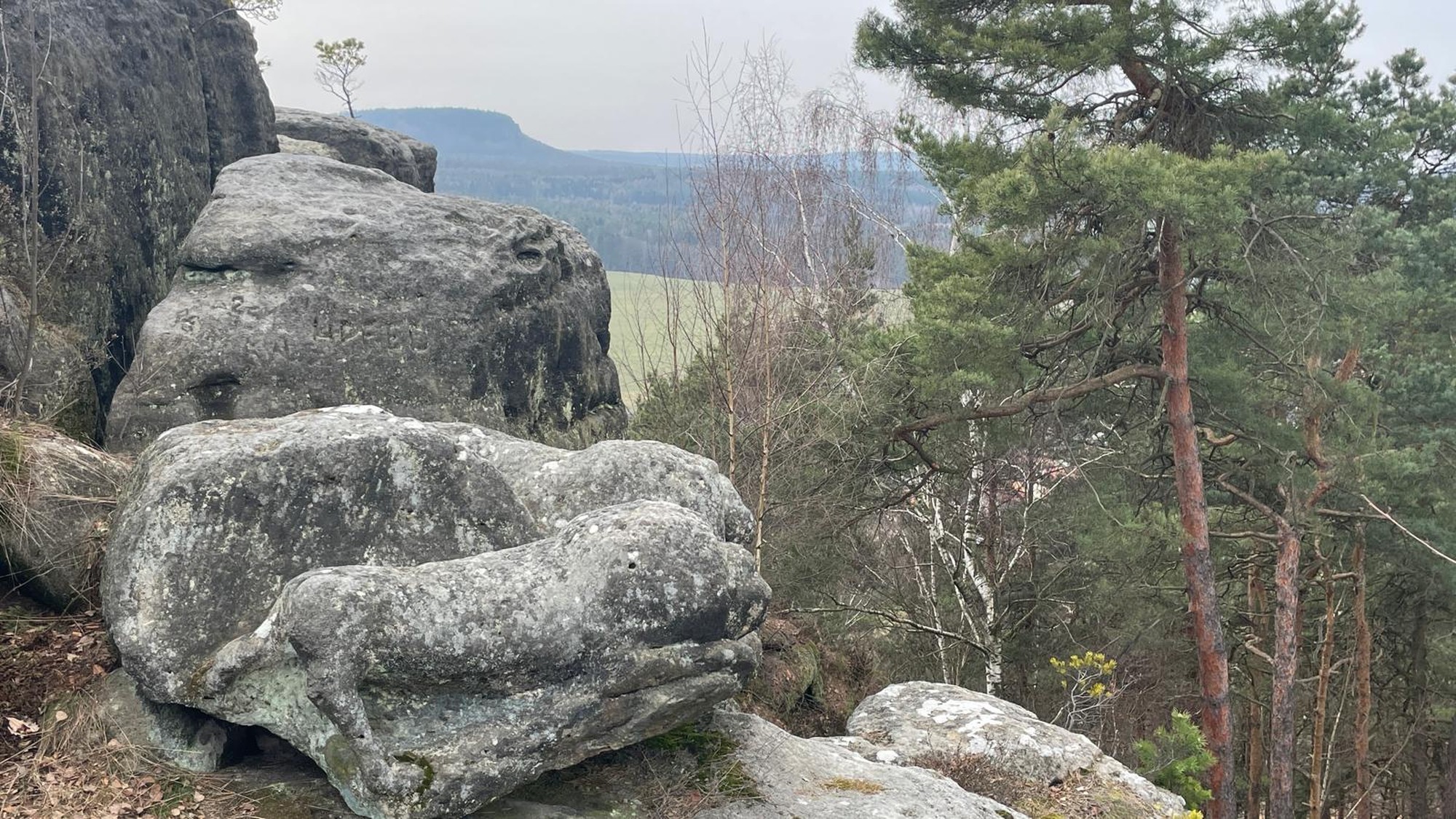 Kaiserkrone Löwe im Felsen?