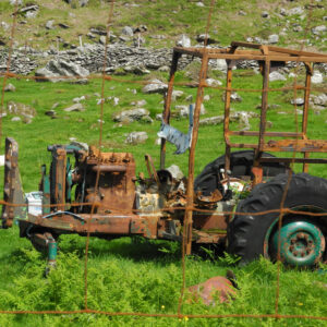 Das Vorläufermodel :-) des roten Traktors in grüner Wiese